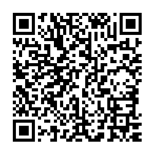 所以大会组委会将王世子留在最后一天做压轴演讲绝对也是有意的安排二维码生成
