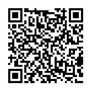 所以大部份评委都认为它很难撼动张东城指环王的领头羊地位二维码生成