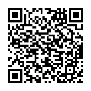 所以奋斗模式将会给与宿主开放更多的战斗属性以及战斗技能二维码生成