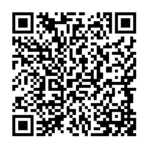 所以她全程接触了那一份份动不动就过千万的代理合同协议在谈笑间就签署之后二维码生成
