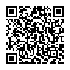 所以她现在的目标是给自己制定一个校园舞蹈天才的桂冠二维码生成
