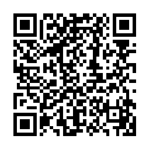 所以她的高级演技很自然而然地表现出自己现在最合理的状态二维码生成