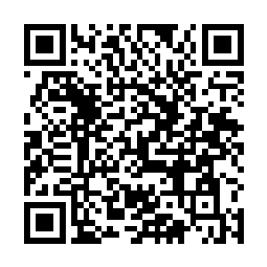 所以好几次我们就发现他偷偷的把神树砍去一部分……二维码生成