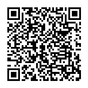 所以它们在胚胎时期便会在体内空白的基因链中记录宿主体内优质的基因二维码生成