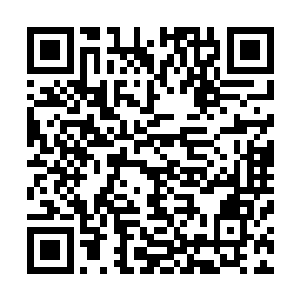 所以对于自己表弟每次搞出来的一些特殊现象也已经麻木了二维码生成