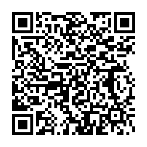 所以对他的每一个动作都极为留意的……在他释放出这样一招之前二维码生成