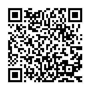 所以就在我们家走投无路的时候直接把我们家记到了军户之中吗二维码生成