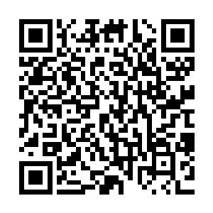 所以就算是他这个点苍门的门主也仅仅只会这一种十一级丹药二维码生成