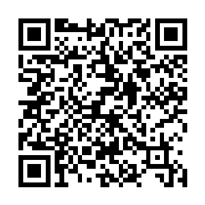 所以就算是白芷璃拿出了这样神奇的丹药红姨还是不认识的二维码生成