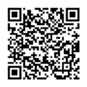 所以就连系统也没办法使用精神防御能力抵御弗莱迪的攻击二维码生成