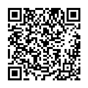 所以尼尔王一定会抓捕大量无角人魔战士甚至普通人给他吸收二维码生成