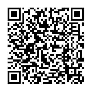 所以尽管因为公敌里的李碧婷和视频里的安桉不是同一个人缓解了人们的怀疑二维码生成