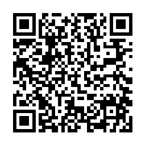 所以左顺门这里已经被外围警戒的侍卫官军占据住了二维码生成