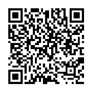 所以平日里无意识的在叶璃面前便会显露出极为幼稚的一面二维码生成