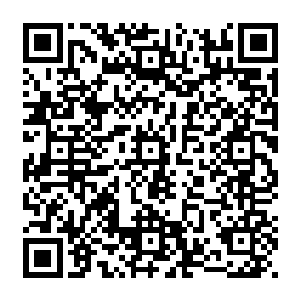 所以当叶秋和叶凡钻出草丛看到的就是一群死小孩开着各种改装过得车出现在他们眼前二维码生成