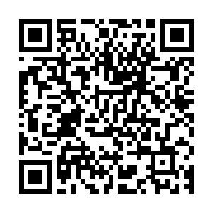 所以当谭继之被定王府的人客气却不容拒绝的请到定王府的时候二维码生成