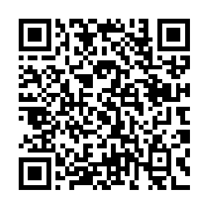 所以很快便分辨出了那种在他们体内吞噬生机的力量是什么二维码生成