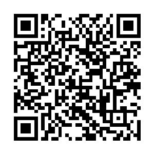 所以很快楚旬便用创世神雷无声无息地破开了护界法阵二维码生成