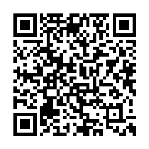 所以我们三川六脉才会研究出仙之力储备的探测二维码生成