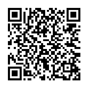 所以我们消化食物的过程……绝对不可能是完全拟真的二维码生成
