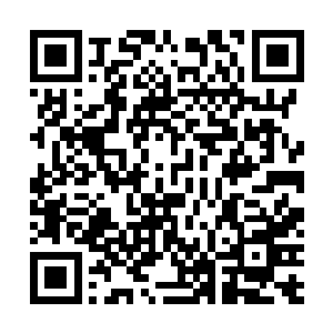 所以我们这边才用侦查专精的今川来辅助最强的织田出阵二维码生成