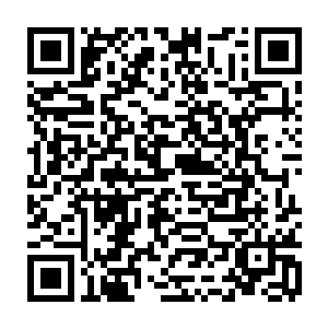 所以我们需要寻找一位在形象气质方面接近于秦洛的演员――秦洛推荐了你二维码生成