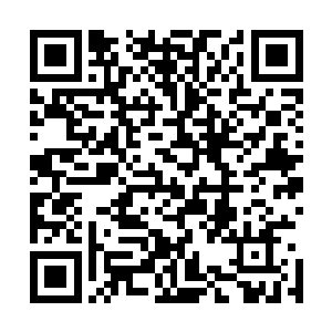 所以我可以用匕将你的裤腿化开看一看你经络里面的情况吗二维码生成