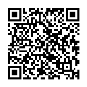 所以我必须在海水把这个冰块冲融化之前得到一些有用的信息二维码生成