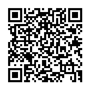 所以我想把夜枭托付给你们――你们不是准备和傲世大干一场吗二维码生成