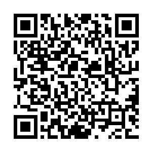 所以我现在也不能确定……当时我得到的报告到底是不是二维码生成