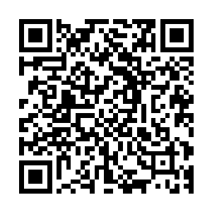 所以我现在只能帮大家尽可能的减免等下会受到的寒冰伤害了二维码生成