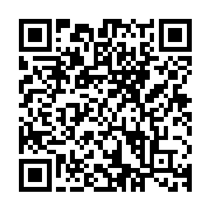 所以我知道陈景皓现在的这种伤势必须得赶紧把血给止住才可以二维码生成