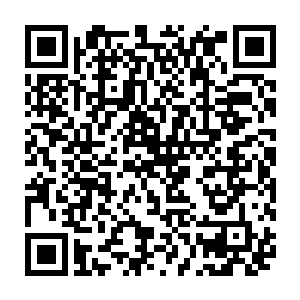 所以才会有很多人有意无意把刘家的生病遭殃跟巴家的火红对比拉在一起二维码生成