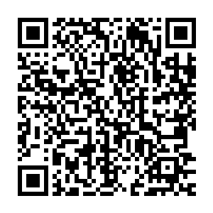 所以才使得霍海成功的击杀了已经半只脚迈进了顶级神的紫晶巨犀二维码生成