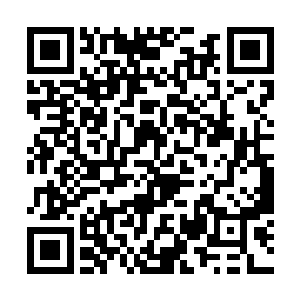 所以才能让几乎每家跟他们接触的电视台尽管出了血二维码生成