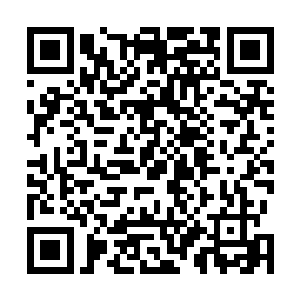所以才能设计出今晚的这一套计划……他们都不知道的是二维码生成