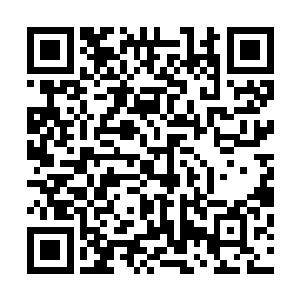 所以更多时候里克还是把雨果当做客户――特殊的客户对待二维码生成