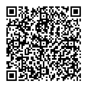 所以最后两人都没有再换什么东西――事实上她们也真的换不起――过了一番眼瘾就相携回去了二维码生成