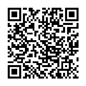 所以最终他也只好老老实实地和言法随一样等在了太虚宗二维码生成