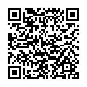 所以有时候最终成交价格会超出拍卖品原本应有价格的数倍以上二维码生成