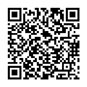 所以杨开也很期待小小从血门之中走出来会变成什么样子二维码生成
