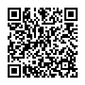 所以杨晨完全不用担心会被这家伙不小心给弄死二维码生成