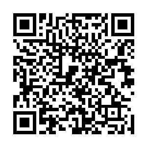 所以林封谨三月十四带着老头子的唠叨和姨娘们的关切出发二维码生成