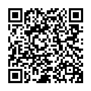 所以柳传新也并不忌讳用困难两个字来形容现在华夏顶研的情况二维码生成