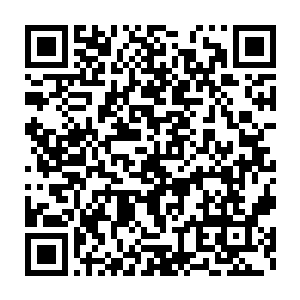 所以楚旬在刚刚融合异形基因的时候才会被基因之中的杀戮因子所影响二维码生成
