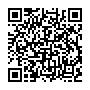 所以楚旬对于这种血脉相连的召唤感有着一种浓浓的戒备和忌惮二维码生成