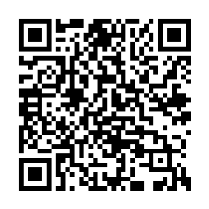 所以樊家就用资源丹药将樊风华的修为提升上去二维码生成