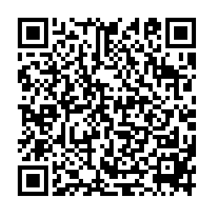 所以此刻他们所凝聚出来的炼狱魔主也比当初在庇护所世界更加庞大二维码生成