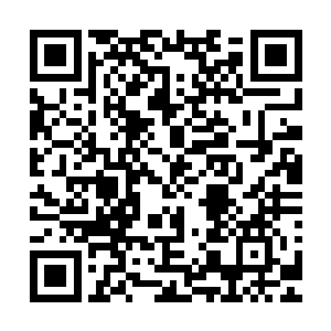 所以此刻哪怕是在抵挡这青衣男子自爆所产生的恐怖冲击波时二维码生成