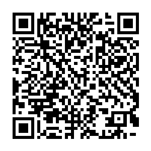 所以此时亡灵君主的攻击也是一时半会儿突破不了暗黑风暴的封锁二维码生成